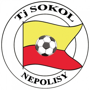 TJ Sokol Nepolisy - FK Kopidlno A 4:1 (2:1)